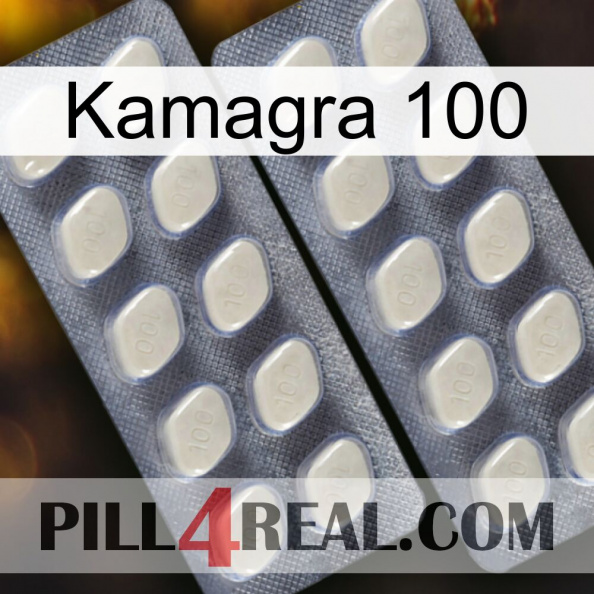 Kamagra 100 07.jpg